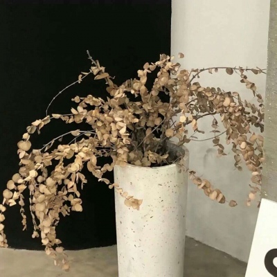 Furry写实风格绘画技巧福瑞交流群